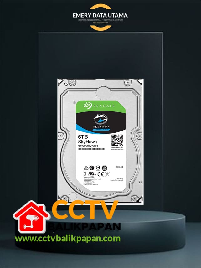 hardisk cctv 6000gb